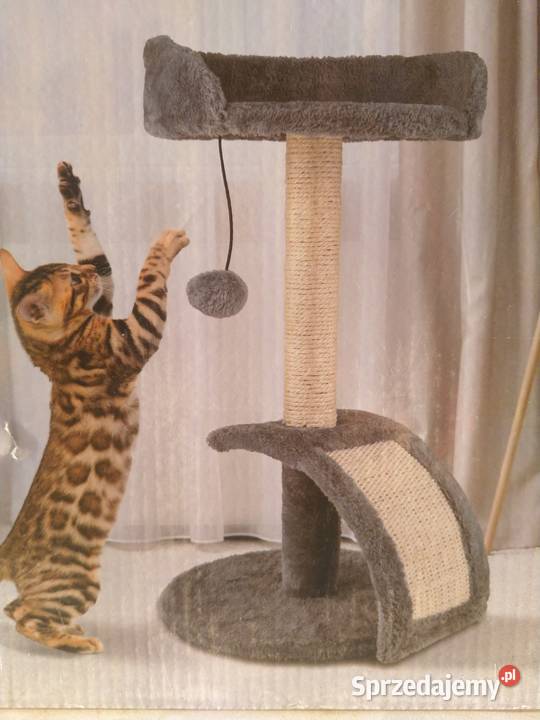 NAJTANIEJ Drapak Kota Duży 55 Wysoki Domek śląskie Zabrze sprzedam