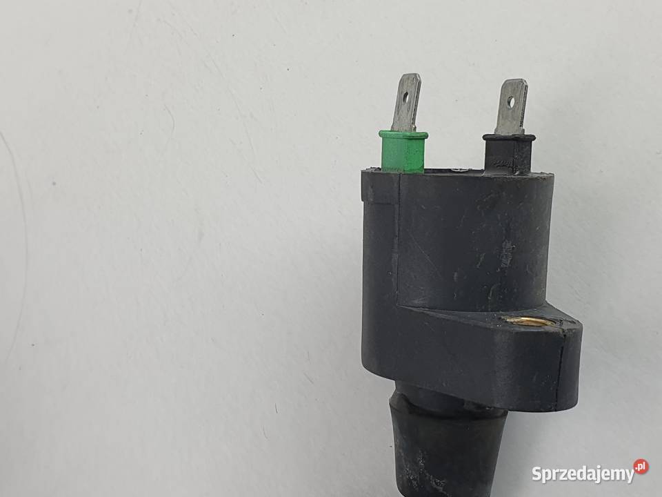 Cewka Zaplonowa Fajka Peugeot Speedfight III Łódź