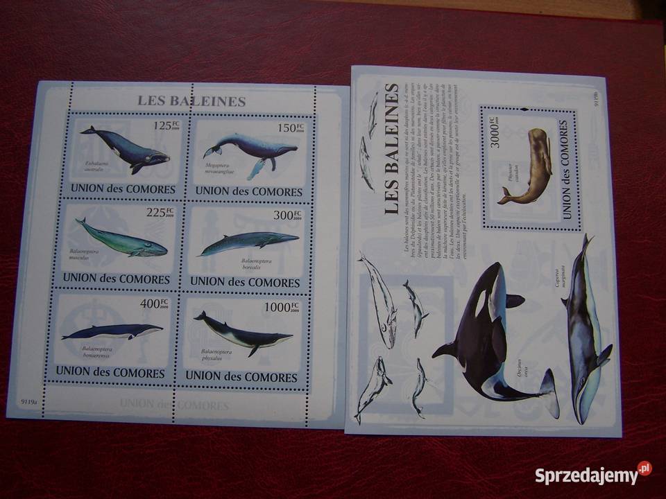 Komory 2009 MNH Fauna Wieloryby śląskie Tychy