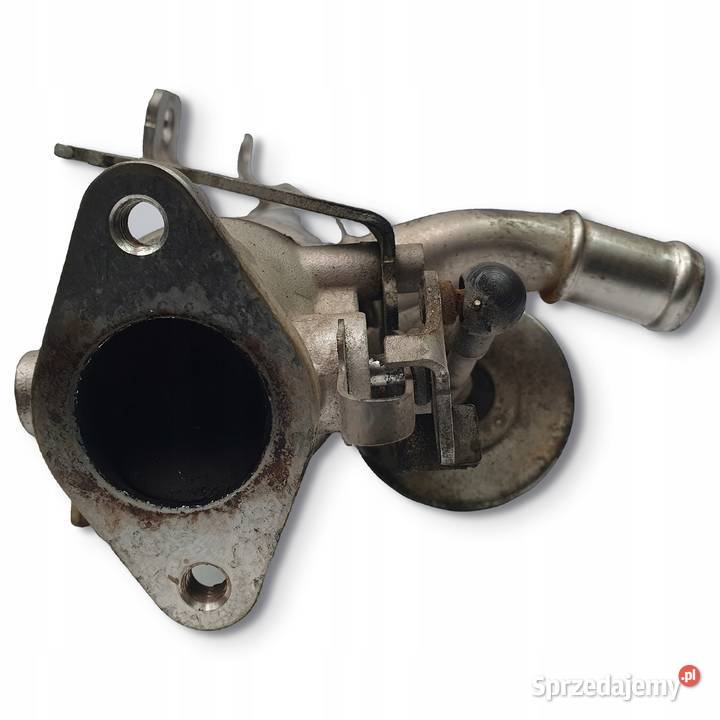 CHŁODNICA SPALIN VW Jetta Passat B6 20 TDI Chełm