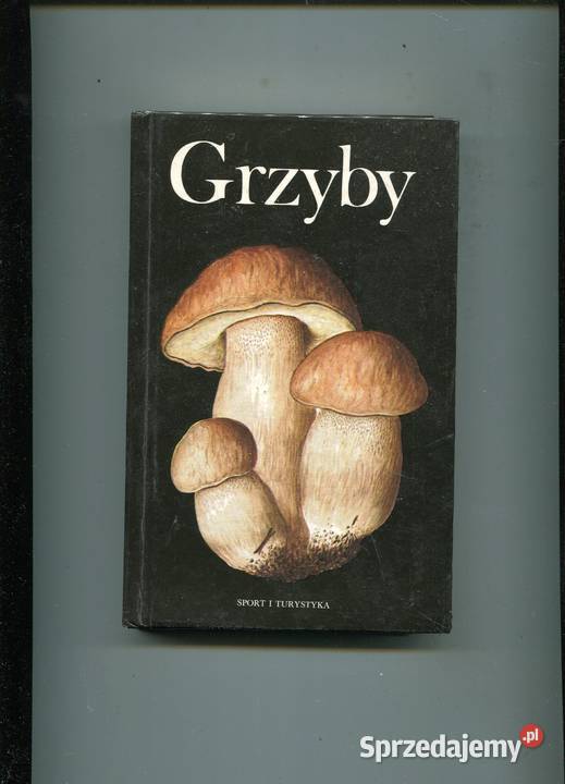 Grzyby Aurel Dermek Pozostałe Szczecin