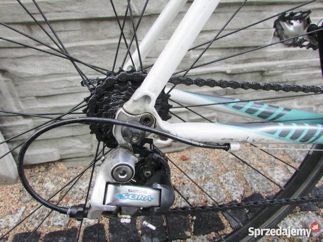 PIĘKNA BIANCHI VIA NIRONE Wrocław