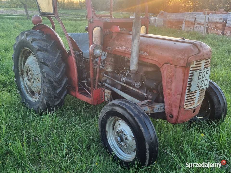 Mf 35 diesle Biłgoraj