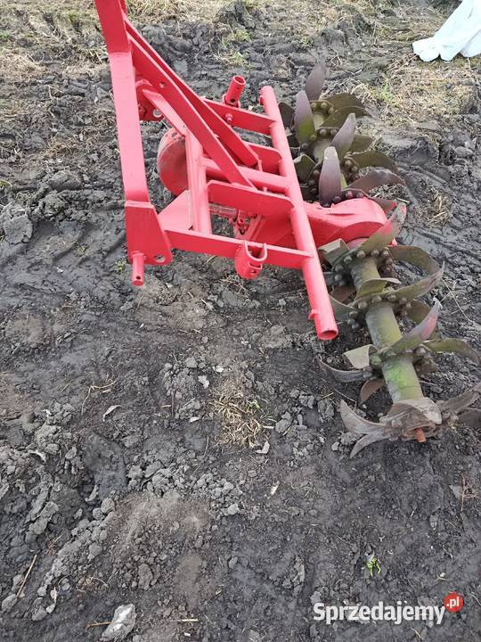 Glebogryzarka nieuszkodzony wielkopolskie