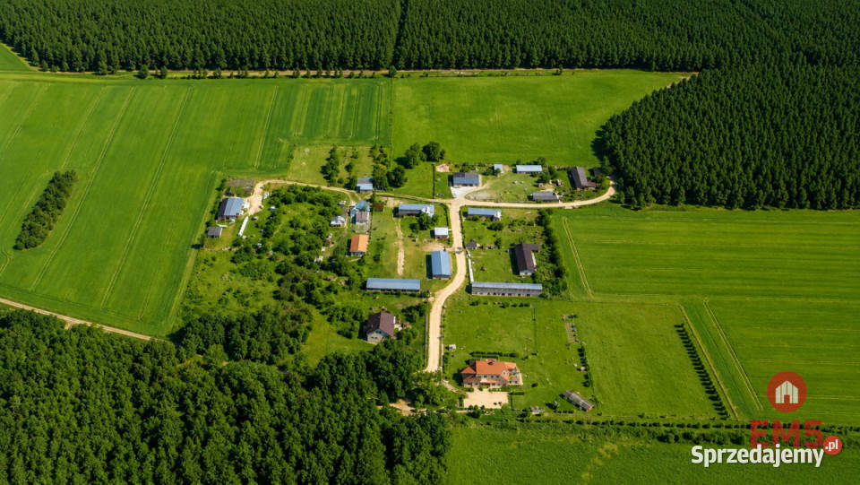 sprzedaży działki Pieńki 1792m2 Sprzedaż