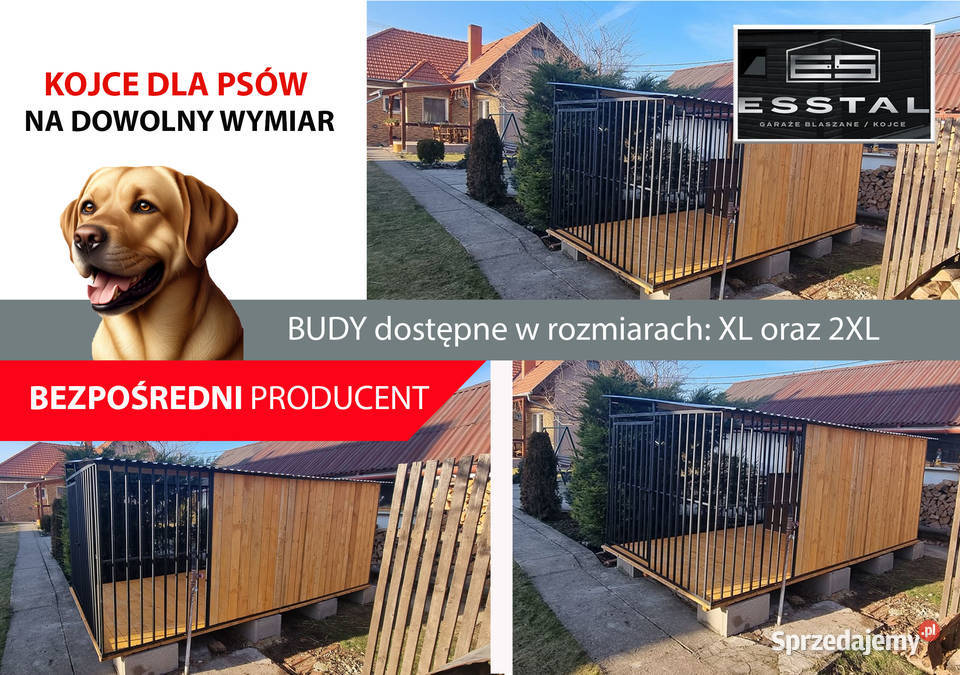 Kojec Psa KOJCE Psów Dowolne Rozmiary Dodatki Łomża