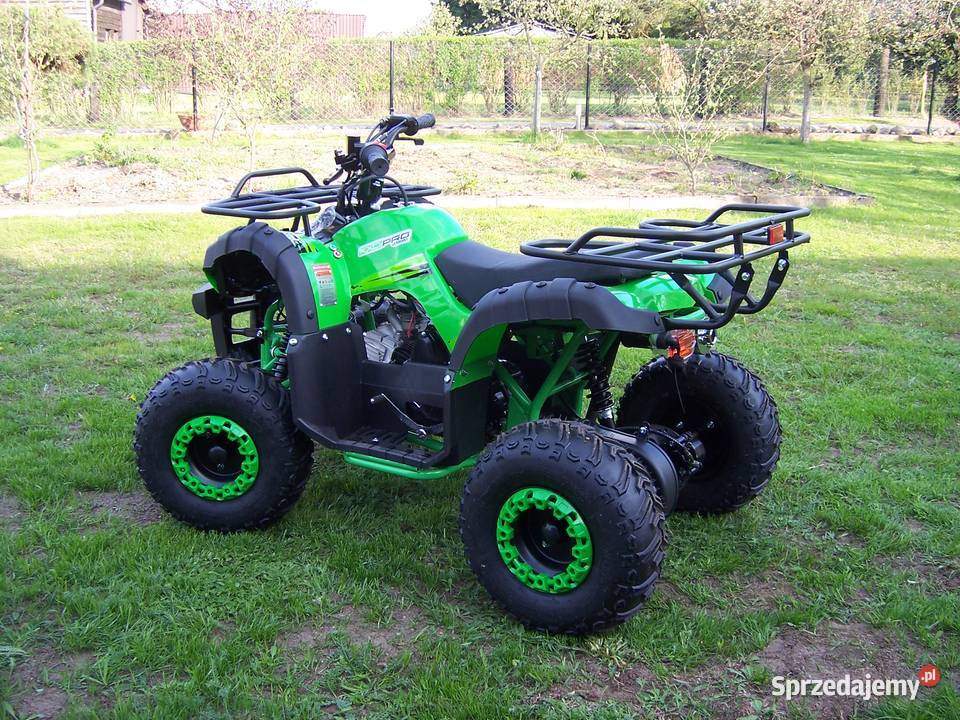 Quad KXD HAMMER 110 cc 125 cc automat 11 dzieci KXD Motoryzacja sprzedam