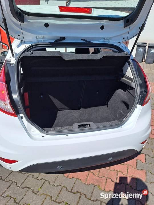 Ford Fiesta 14 LPG nieuszkodzony sprzedam