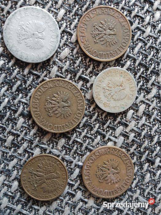 Monety bez mennicy i inne Antyki, Sztuka, Kolekcje wielkopolskie Kalisz