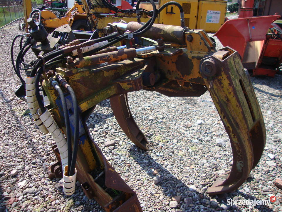 kleszcze zrywkowe Czaplinek