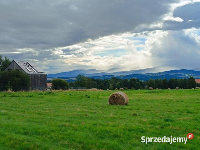 Grunt do sprzedania 1341m2 Grudza dolnośląskie