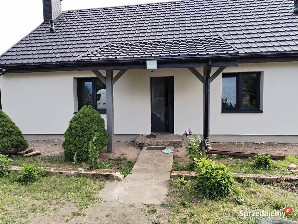 Siedlisko Dom plus4 budynki gospodarcze Sochocino-Badurki sprzedam