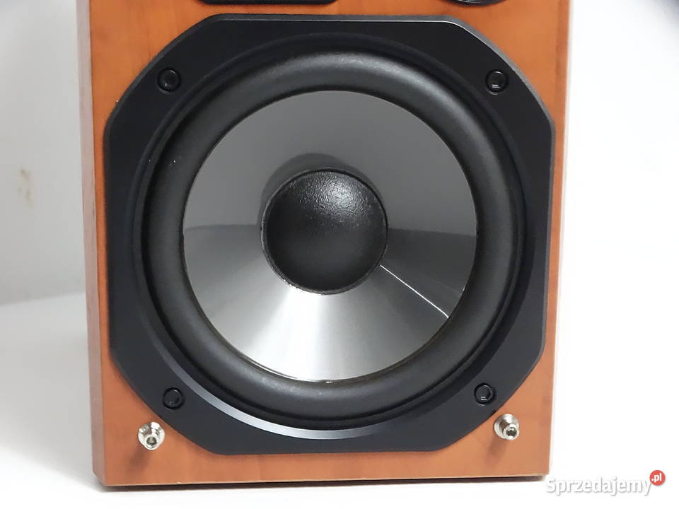 Głośnik Panasonic SBPMX1 Pojedyncza Sztuka 100 Biłgoraj