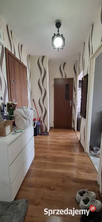 Wynajmę mieszkanie oddzielna kuchnia kujawsko-pomorskie Wąbrzeźno