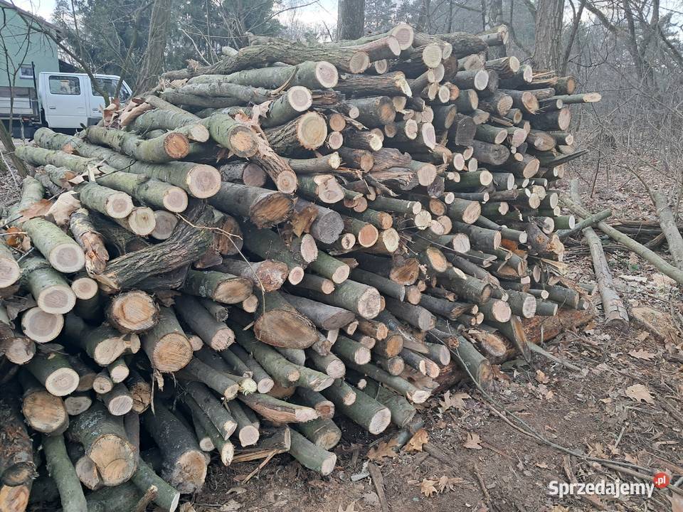 drewno opałowe gałęźiowe Puszcza Mariańska