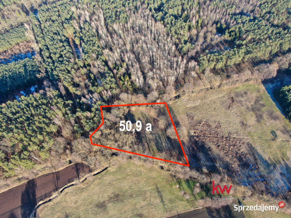 Sprzedam grunt 5090m2 Kuźniczysko dolnośląskie