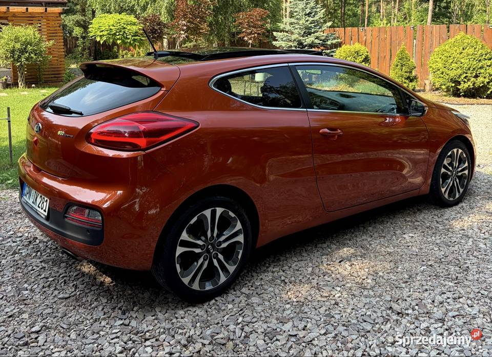 Kia ProCeed 16 Oryginalny lakier Bezwypadkowa Płońsk