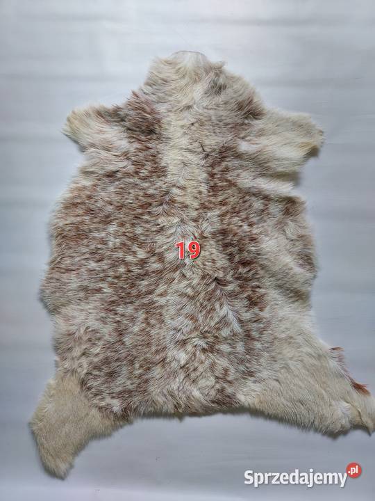 Skóry z Kóz Naturalne Skóry Dekoracyjne Skóra Sztukateria, dekoracja sufitu Szaflary