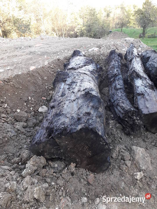 czarny dąb kłody Dom i Ogród Wieliczka