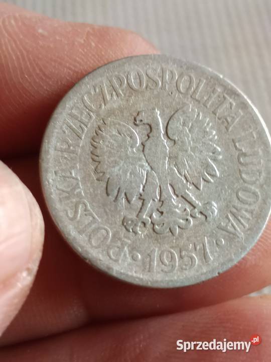 sprzedam 50 groszy 1957 qqqqq Chełm sprzedam