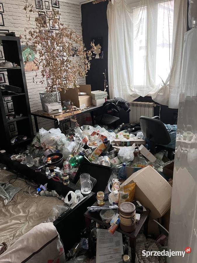 Opróżnianie mieszkań Piotrków Trybunalski Vector łódzkie