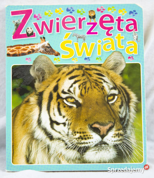 Książeczka Zwierzęta Świata Książki dla dzieci Gdańsk