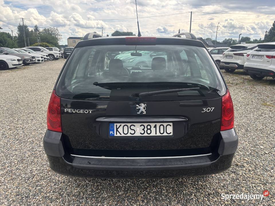Peugeot 307 manualna 307