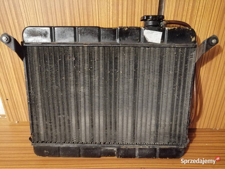 Polonez borewicz caro truck 19 chlodnica Suskowola