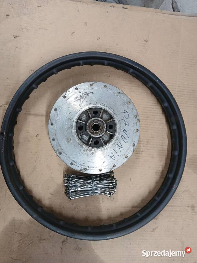 Panonia koło Kieźliny