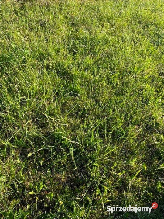 Działka budowlana morzem Międzywodzie 3000m2