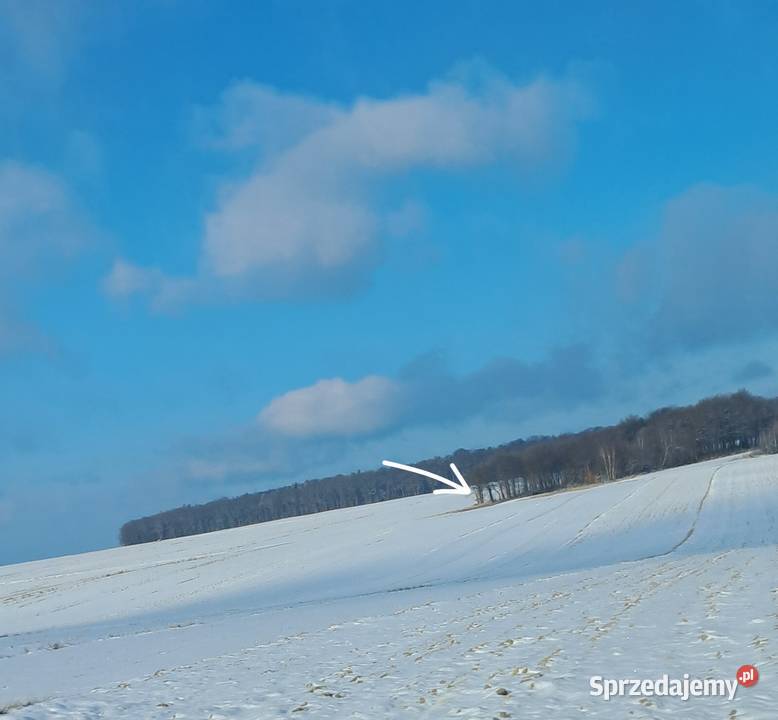 Działka leśna rolna Kozłów