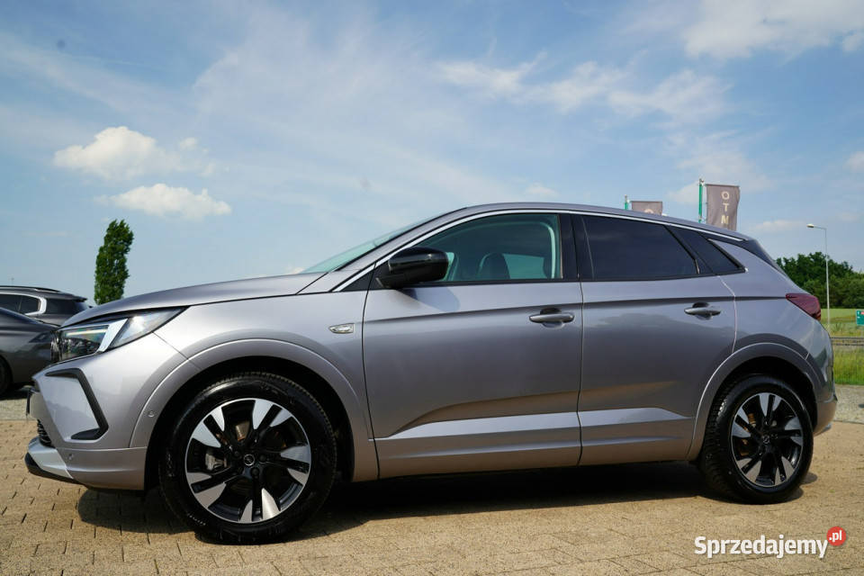 Opel Grandland X FUL LED skóra NAWI automat8 ogranicznik prędkości opolskie Otmuchów