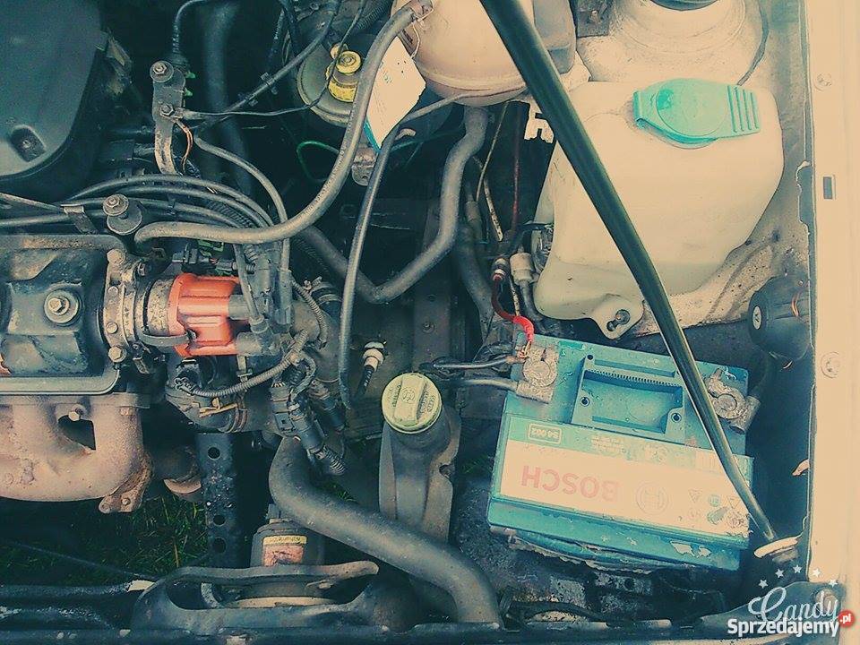 Seat cordoba vario jedyny taki gwint kujawsko-pomorskie Świecie