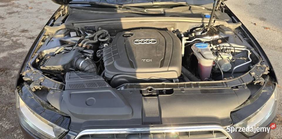 AUDI A4 B8 20 TDI AUTOMAT warmińsko-mazurskie