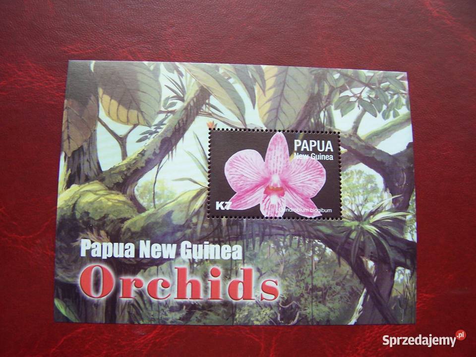 Papua Nowa Gwinea 2004 MNH Flora Kwiaty Orchidee Tychy sprzedam