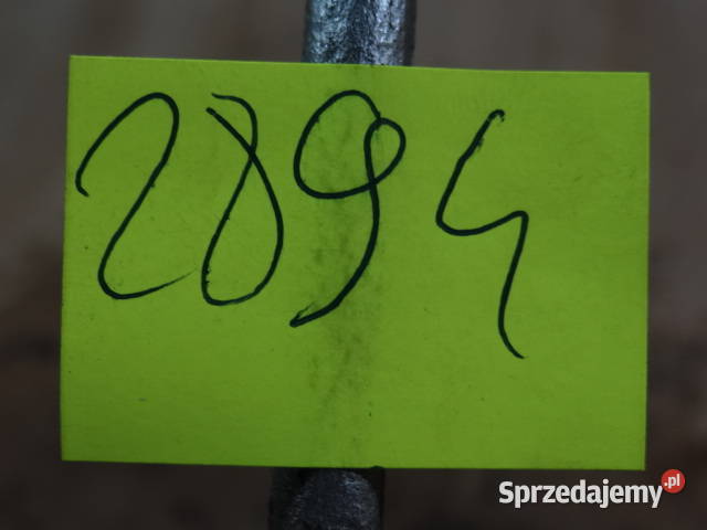 dźwignia sprzęgła skrzyni biegów Simson AWO org Żary