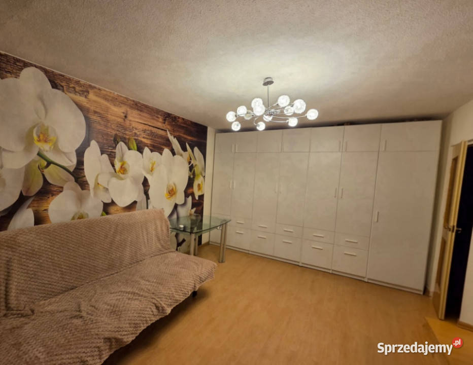 Umeblowane M3 czeka na 10434zł/m2 Sprzedaż łódzkie