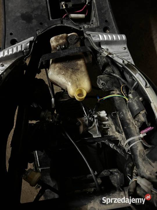 Skuter zipp 5080 Samborzec