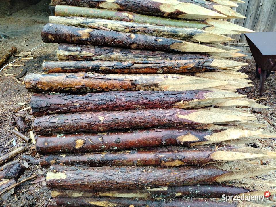 Faszyna kołki i słupki do siatki leśnej Łochów sprzedam