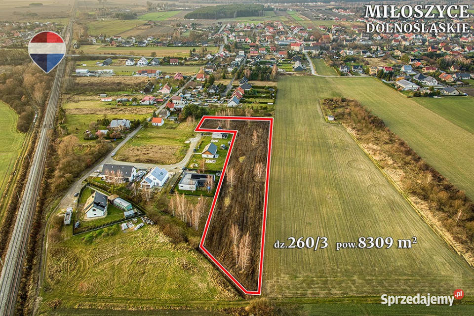 Działka inwestycyjna 8309 m z MPZP koło 8309m2 Miłoszyce sprzedam