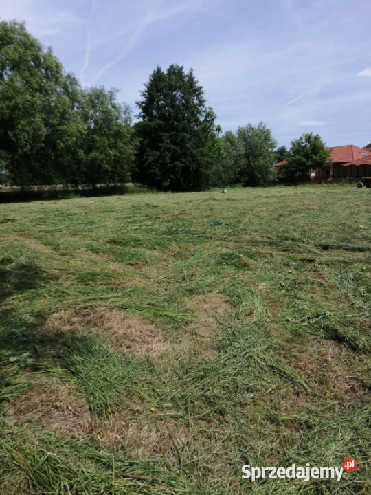 Sprzedam działkę budowlaną w Ropczycach Ropczyce