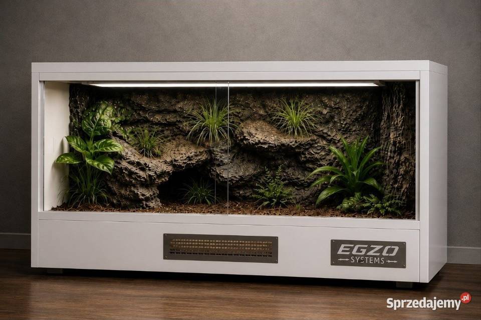 Okazja terrarium gekona orzęsionego boa