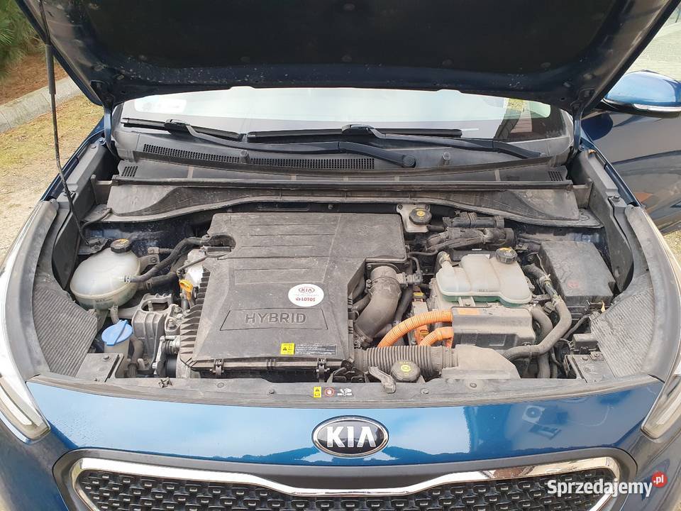 Kia Niro L ADP FUN LED SUV Prądocin