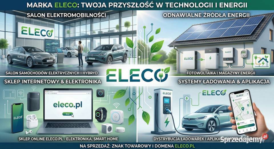 Domena eleco znak towarowy salon DFSK Kia Tesla Sklep Nisko