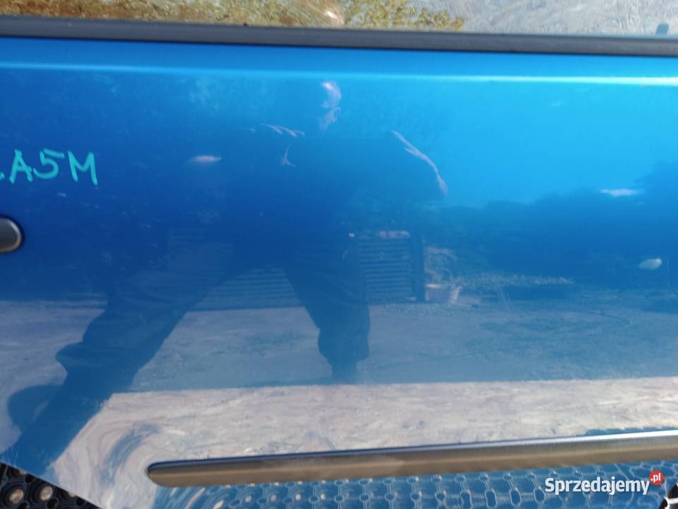 VW POLO 9N 5D LA5M DRZWI TYŁ PRAWY PRAWE wielkopolskie Słowikowo