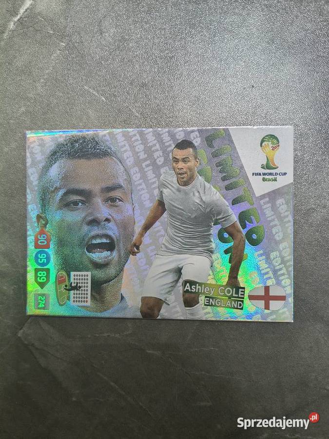 PANINI FIFA WORLD CUP BRASIL 2014 Kraków sprzedam