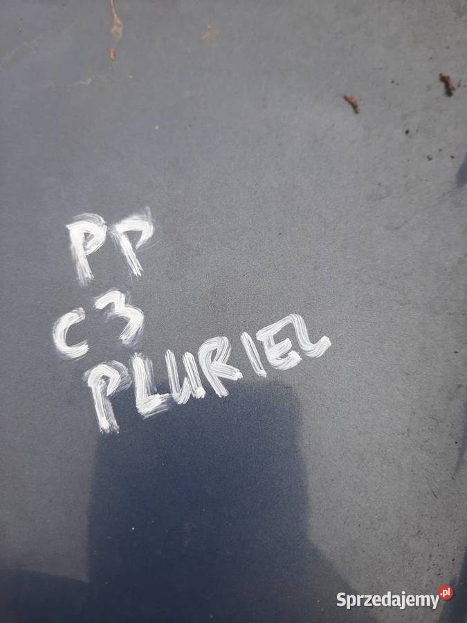Citroen C3 Pluriel drzwi prawe pasażera łódzkie Ksawerów