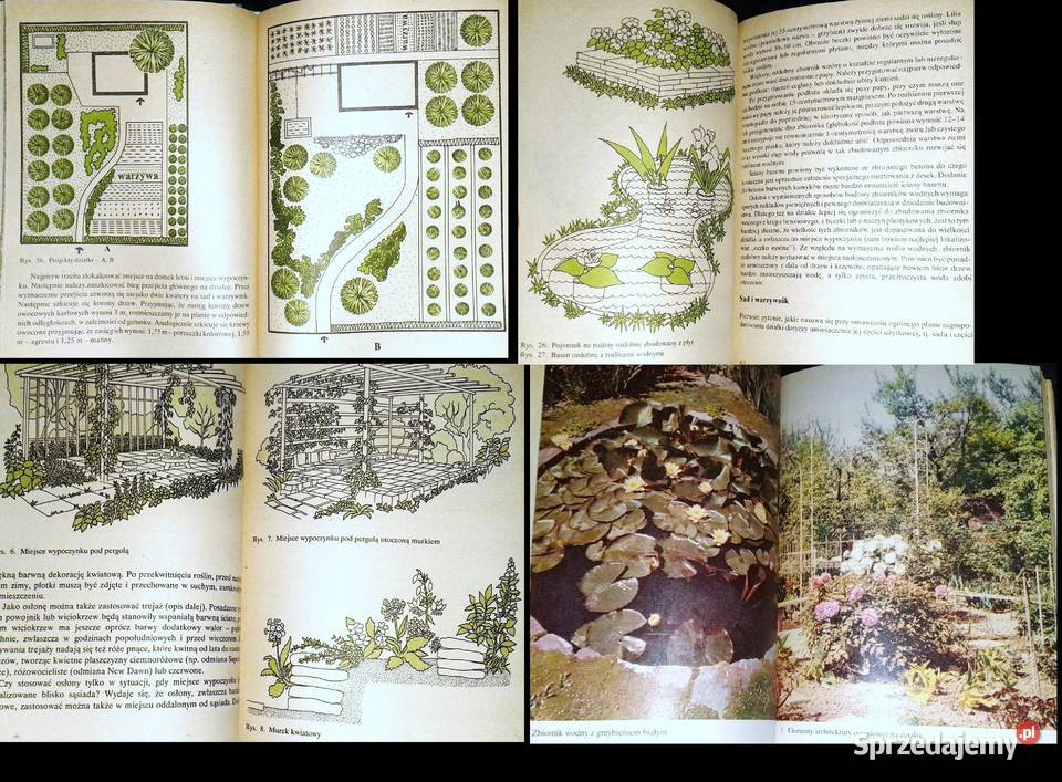 Działka moje hobby praca zbiorowa Chełm