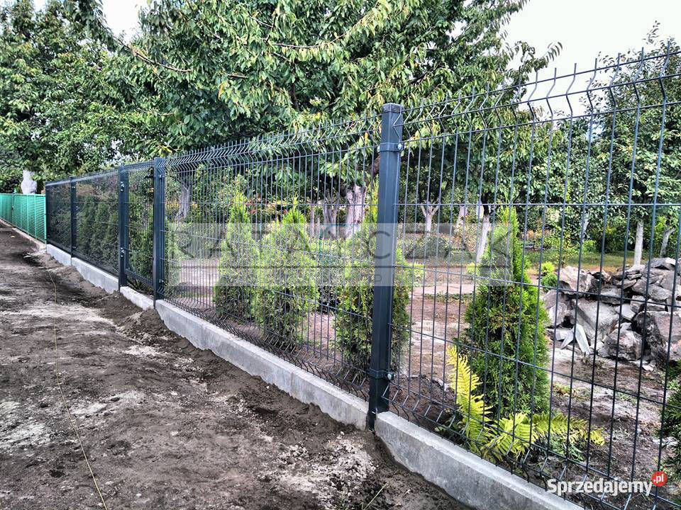 Brama Dwuskrzydłowa 500m Kolor Otwierana