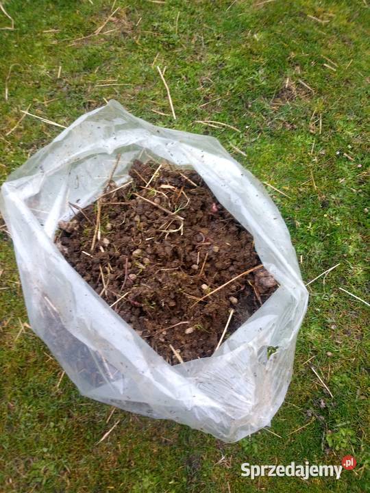 Obornik nawóz Częstochowa